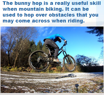 Bunny Hop