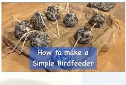 Making a Bird Feeder