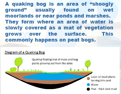 Quaking Bog