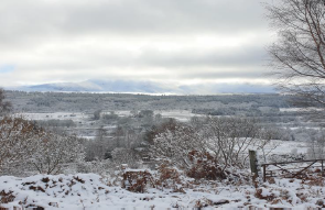 Snow